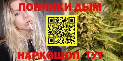 стафф Заводоуковск