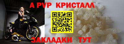 стафф Заводоуковск