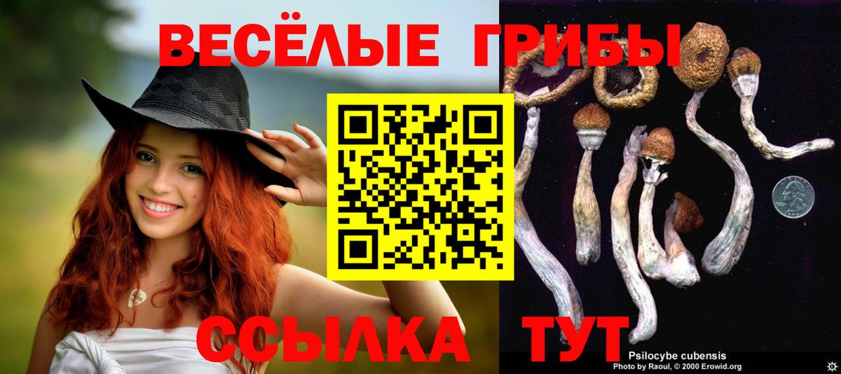 Меф   Кокаин  Конопля  Медногорск  Экстази  Гашиш  Вход с VPN 
